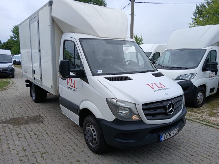 Mercedes-Benz SPRINTER 313 CDI 906.131.13 Dupla kerék