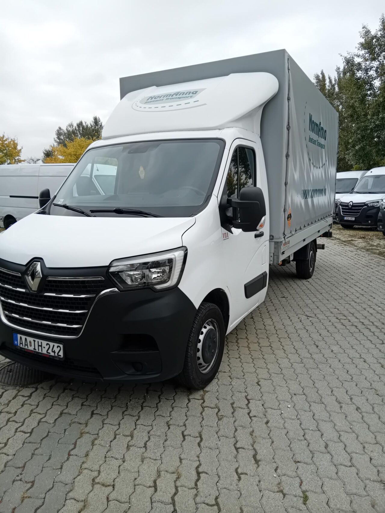 Renault Renault Master 2.3 dCi 165 L3P3 – AAIH242
